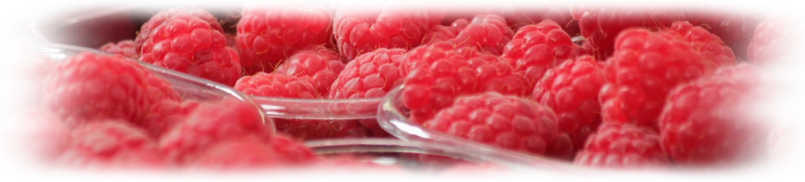 fresh raspberry yogurt